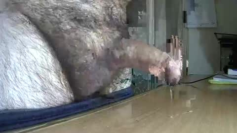 Snapshot of victorhume chatting on March 6, 2025, 11:42 pm VictorHume online show from March 6, 2025, 11:42 pm