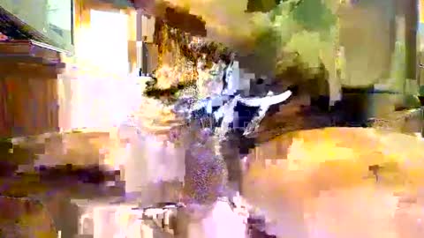 viizin online show from February 23, 2025, 6:28 am