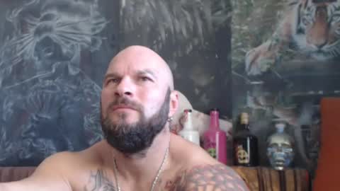 viking online show from October 25, 2025, 7:49 am