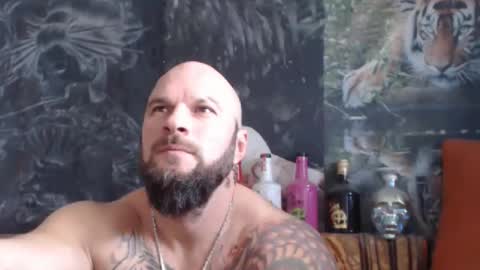 viking online show from November 18, 2025, 7:46 am