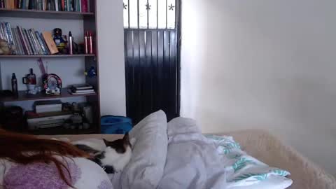 Snapshot of violeta_peter69 chatting on February 23, 2025, 8:33 pm Violeta Peter online show from February 23, 2025, 8:33 pm