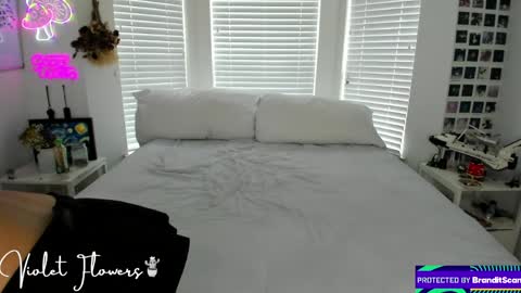Snapshot of violetttflowers chatting on May 4, 2026, 3:52 pm Violet Flowers online show from May 4, 2026, 3:52 pm
