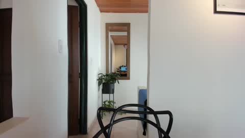 Vito Ferrer online show from February 7, 2025, 2:47 pm