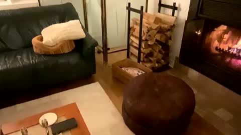 Snapshot of viviannexxx2022 chatting on December 21, 2024, 11:56 pm Vivlove online show from December 21, 2024, 11:56 pm