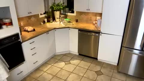 Snapshot of viviannexxx2022 chatting on January 20, 2025, 11:35 am Vivlove online show from January 20, 2025, 11:35 am