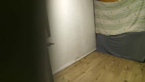 Snapshot of vpetkah chatting on November 4, 2025, 6:01 am vpetkah online show from November 4, 2025, 6:01 am