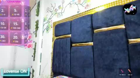 Snapshot of vskayper chatting on October 26, 2025, 12:33 pm skay online show from October 26, 2025, 12:33 pm