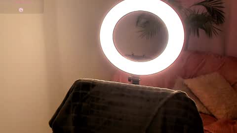 Zara online show from December 6, 2024, 8:59 am