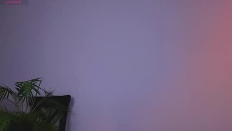 Zara online show from January 12, 2025, 8:36 am