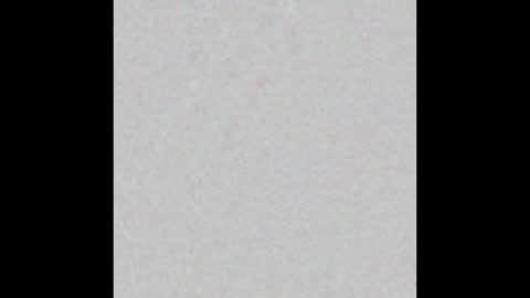 wanderlustgaal online show from October 14, 2025, 3:18 am