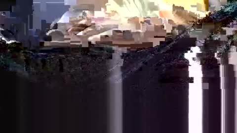 wanttowatch87 online show from February 12, 2025, 3:51 am