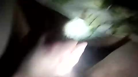 wariatos3 online show from January 10, 2025, 12:17 am