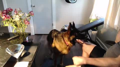 wasted_daze_ online show from March 11, 2026, 10:38 pm