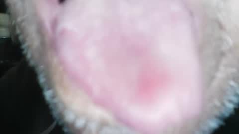 Snapshot of wayne1311 chatting on January 23, 2025, 4:26 pm wayne1311 online show from January 23, 2025, 4:26 pm