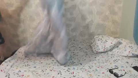 Lia and Artur online show from December 22, 2025, 9:28 am