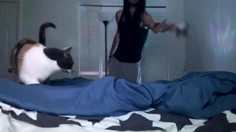 Snapshot of weedwacker43 chatting on December 26, 2024, 7:03 am weedwacker43 online show from December 26, 2024, 7:03 am