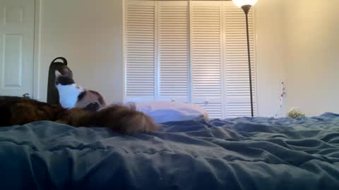 Snapshot of weedwacker43 chatting on February 26, 2025, 10:53 pm weedwacker43 online show from February 26, 2025, 10:53 pm