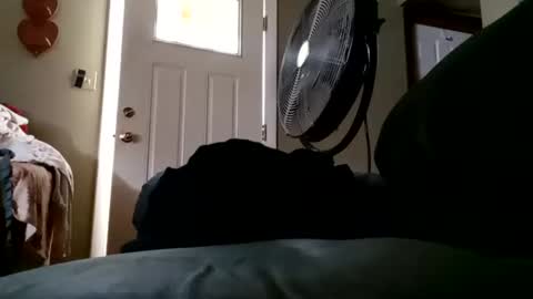 Snapshot of welldny chatting on September 21, 2025, 5:58 pm welldny online show from September 21, 2025, 5:58 pm