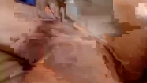 Snapshot of welldny chatting on October 25, 2025, 4:46 pm welldny online show from October 25, 2025, 4:46 pm