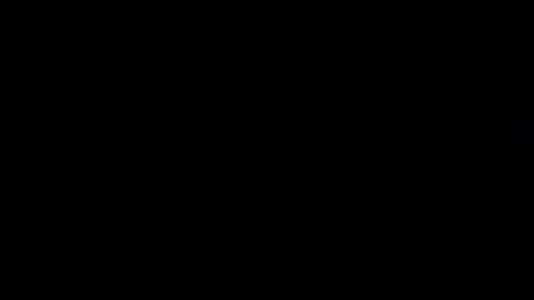 wellingtont online show from November 26, 2025, 4:52 pm