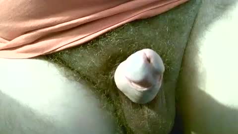 welshstuds online show from September 30, 2025, 11:59 am