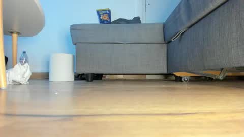 wet_pants2022 online show from February 10, 2026, 4:22 pm