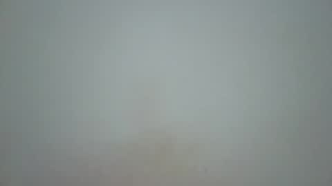 wet_pussieyy online show from November 10, 2025, 3:00 pm