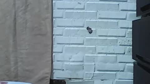 Snapshot of wettyhottie69 chatting on February 3, 2026, 6:11 am wettyhottie69 online show from February 3, 2026, 6:11 am