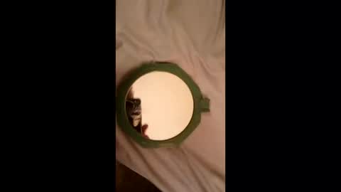 whetedoyouwantmetoputit online show from March 22, 2026, 10:02 pm