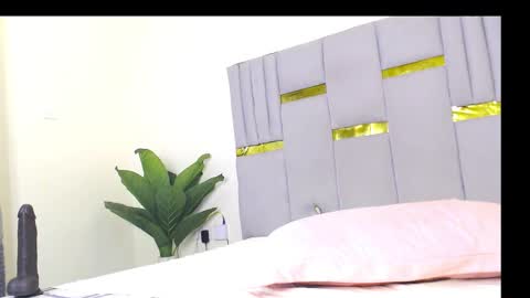 Whinebby online show from December 5, 2025, 7:39 am