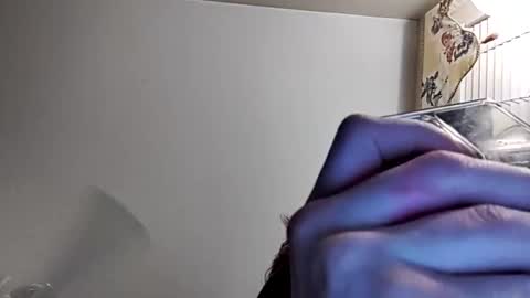 whitegal6969 online show from October 25, 2025, 11:40 am