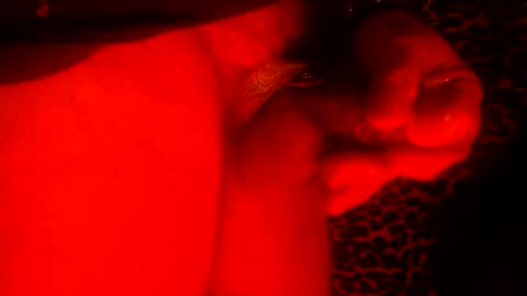 whor4mor online show from January 9, 2025, 11:25 am