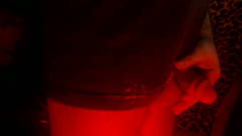 whor4mor online show from February 24, 2025, 2:26 pm