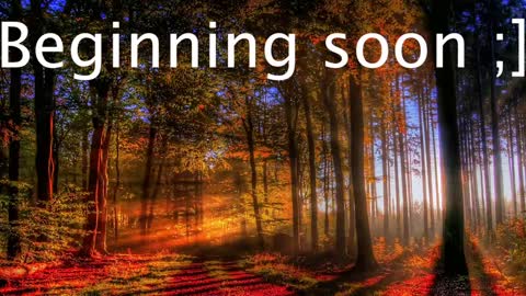 Wiedz online show from January 2, 2025, 11:06 pm