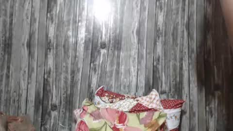 wild_ass_zessa online show from November 27, 2025, 12:07 pm