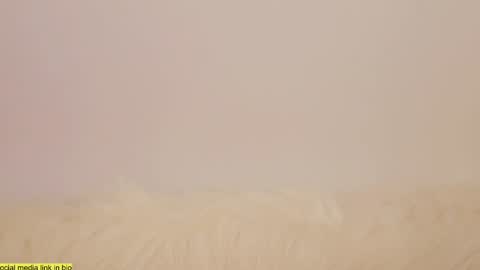 wild_schoolgirl online show from January 13, 2025, 10:24 pm