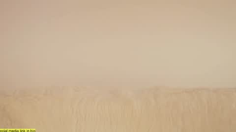 wild_schoolgirl online show from January 18, 2025, 9:45 pm