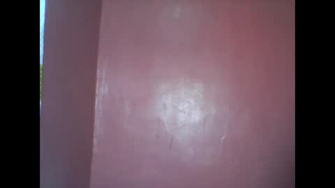 wild_sunflower11 online show from December 8, 2024, 3:43 am