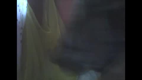 wild_sunflower11 online show from December 26, 2024, 3:16 am