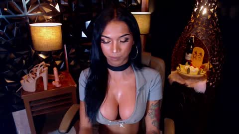 wildara online show from February 5, 2025, 3:31 pm