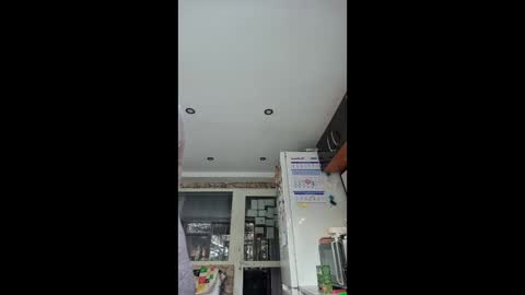 WildPersia online show from January 15, 2026, 9:47 am