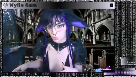 Snapshot of wildwylie chatting on January 31, 2025, 3:20 am Wylie Wanderlust online show from January 31, 2025, 3:20 am