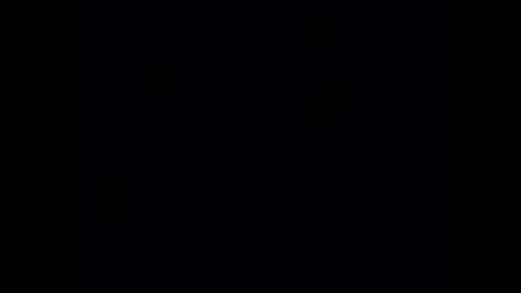 wiley0520 online show from March 3, 2026, 6:41 am