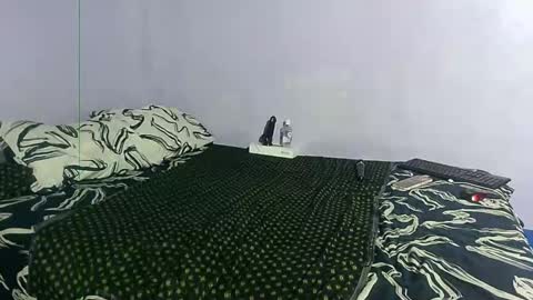 wilmaassylum online show from December 27, 2024, 11:50 am