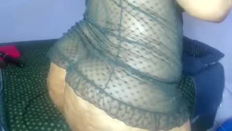 wilmaassylum online show from November 10, 2025, 4:22 am