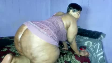 wilmaassylum online show from November 30, 2025, 8:29 am