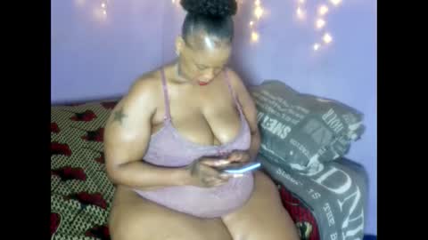 wilmaassylum online show from January 8, 2026, 7:43 am