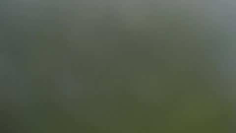 Snapshot of wisanonymousman chatting on November 11, 2025, 6:08 pm Wisa Randy online show from November 11, 2025, 6:08 pm