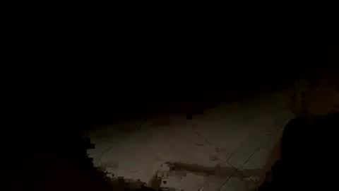 WolfX online show from November 14, 2025, 2:21 am