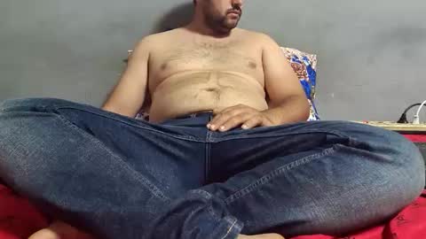 wolf boy online show from November 11, 2025, 3:17 am